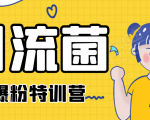 引流菌2020全网爆粉特训营(QQ群霸屏,知乎引流,群裂变,自动化引流等)|淘骐网赚资源库