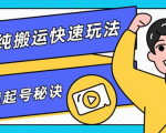 团队内部课程,短视频纯搬运快速玩法,批量快速起号的秘诀|淘骐网赚资源库