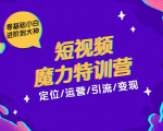 零基础小白进阶到大神《短视频魔力特训营》定位-运营-引流-变现|淘骐网赚资源库