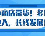 微信小商店带货,爆单多倍收入,长期复利循环!日赚300-800元不等|淘骐网赚资源库