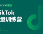 2020最新TikTok流量增长训练营(完结)附PPT|淘骐网赚资源库