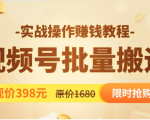 视频号批量运营实战教程，让你一天创作100个高质量视频，日引5W+流量|淘骐网赚资源库
