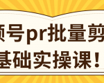 视频号PR批量剪辑0基础实操课,PR批量处理伪原创一分钟一个视频【共2节】|淘骐网赚资源库