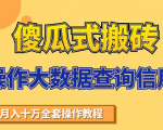 搬砖操作大数据查询信用项目赚钱教程，祝你快速月入6万|淘骐网赚资源库