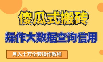 搬砖操作大数据查询信用项目赚钱教程,祝你快速月入6万|淘骐网赚资源库