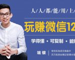 玩赚微信12招：这样玩微信，没钱没人脉也能在家多赚10万|淘骐网赚资源库