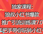 狼叔小红书爆款推广引流训练课7.0,手把手带你玩转小红书|淘骐网赚资源库