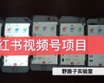 野路子小红书视频号1.0项目,直接上手操作就能赚钱的视频号项目|淘骐网赚资源库