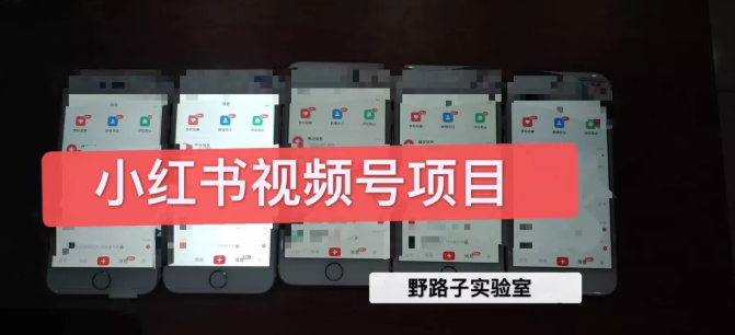 野路子小红书视频号1.0项目,直接上手操作就能赚钱的视频号项目|淘骐网赚资源库