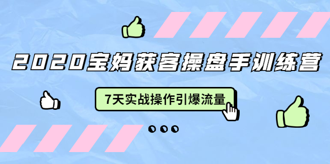 2020宝妈获客操盘手训练营:7天实战操作引爆 母婴、都市、购物宝妈流量|淘骐网赚资源库