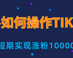 新手小白操作TIKTOK，3天从0到10000粉丝撸美金实战分享|淘骐网赚资源库