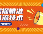 探探精准引流技术:探探上模拟器+探探做号方法+模拟器话术+视频演示|淘骐网赚资源库