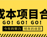 低成本零成本项目合集:赚钱快的慢的、暴利的,线上线下的,价值万元资料|淘骐网赚资源库
