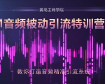 黄岛主·FM音频引流特训营2.0：独家引流模式，单账号50W+播放量，轻松变现|淘骐网赚资源库