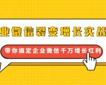 企业微信裂变增长实战课:带你搞定企业微信千万增长红利,新流量-新玩法|淘骐网赚资源库