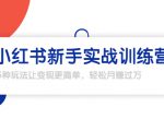 龟课·小红书新手实战训练营：多种变现玩法，轻松玩转小红书月赚过万|淘骐网赚资源库