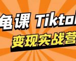 龟课·TikTok变现实战训练营线上第1期,多种变现模式,轻松赚美刀|淘骐网赚资源库
