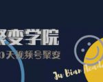 30天视频号成长营:视频号制作筹备+视频剪辑+视频号运营+引流变现|淘骐网赚资源库