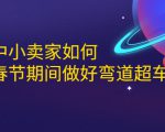 淘宝中小卖家如何利用春节期间做好弯道超车,如何做到月销售额20W+|淘骐网赚资源库