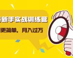 视频号新手实战训练营,让变现更简单,玩赚视频号,轻松月入过万|淘骐网赚资源库