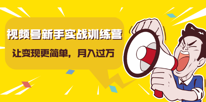 视频号新手实战训练营,让变现更简单,玩赚视频号,轻松月入过万|淘骐网赚资源库