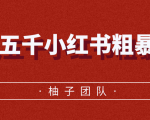 月入五千小红书粗暴赚钱玩法,适合上班族的赚钱副业|淘骐网赚资源库