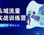 私域流量实战营:7天收获属于您的私域流量池,给你总结出可复制的套路|淘骐网赚资源库