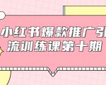 小红书爆款推广引流训练课第十期,手把手带你玩转小红书,轻松月入过万|淘骐网赚资源库