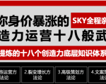 让你的身价暴涨的创造力运营十八般武艺 高度提炼的18个创造力底层知识体系|淘骐网赚资源库