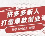 拼多多新人打造爆款创业课：快速引流持续出单，适用于所有新人|淘骐网赚资源库