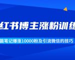 小红书博主涨粉训练营:一篇笔记爆涨10000粉及引流微信的技巧|淘骐网赚资源库