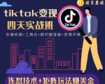 tiktok变现四天实战班,连怼技术+矩阵玩法赚美金!价值998元|淘骐网赚资源库