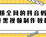 火爆全网的抖音“蚂蚁牙黑”视频制作教程,附软件【视频教程】|淘骐网赚资源库