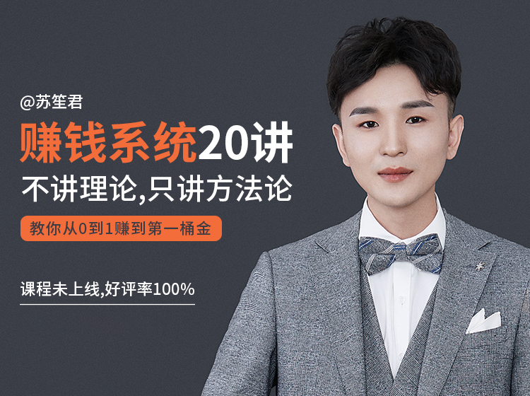 苏笙君的赚钱系统20课 教你从0到1赚到你的第一桶金(不讲理论,只讲方法论)|淘骐网赚资源库