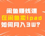 闲鱼赚钱课:在闲鱼卖ipad,如何月入3W?详细操作教程|淘骐网赚资源库