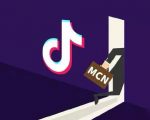 抖音MCN孵化课程,帮助商家拓客,帮助达人更好变现的课程,从0基础到超级IP|淘骐网赚资源库