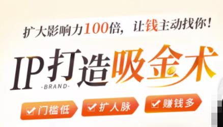 IP打造吸金术:0基础0资源,也能扩大影响力100倍,让钱主动找你!|淘骐网赚资源库