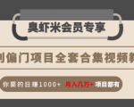 暴利偏门项目全套合集视频教程:你要的日赚1000+月入几万+项目都有|淘骐网赚资源库