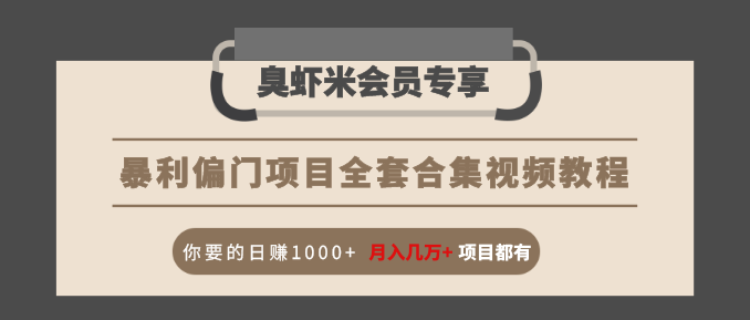 暴利偏门项目全套合集视频教程:你要的日赚1000+月入几万+项目都有|淘骐网赚资源库