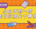 清和行记引流训练营:小白不到一周便能日引流几十精准粉|淘骐网赚资源库