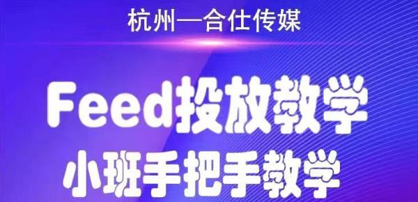 合仕传媒Feed投放教学,手把手教学,开车烧钱必须自己会|淘骐网赚资源库
