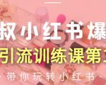 狼叔小红书爆款推广引流训练课第12期,手把手带你玩转小红书|淘骐网赚资源库