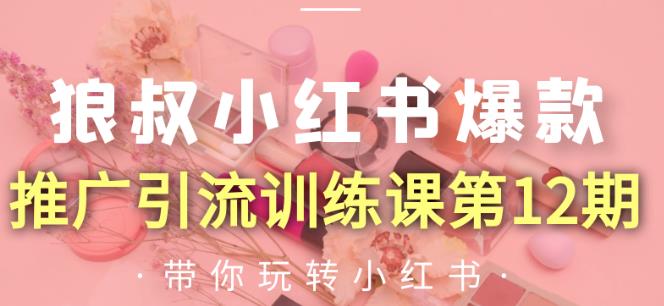 狼叔小红书爆款推广引流训练课第12期，手把手带你玩转小红书|淘骐网赚资源库