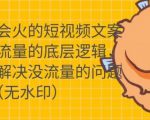 只说话就会火的短视频文案课,从根本上解决没流量的问题|淘骐网赚资源库