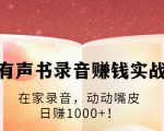 有声书录音赚钱实战:在家录音,动动嘴皮,日赚1000+!|淘骐网赚资源库
