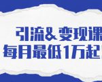 引流&变现课：分享一整套流量方法以及各个渠道收入，每月最低1万起！|淘骐网赚资源库