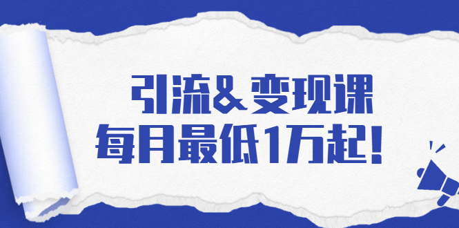 引流&变现课：分享一整套流量方法以及各个渠道收入，每月最低1万起！|淘骐网赚资源库
