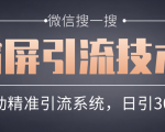 微信搜一搜霸屏引流技术,打造被动精准引流系统,轻松日引300+流量|淘骐网赚资源库