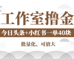工作室撸金二件套:撸今日头条原创收益+小红书一单利润40块项目|淘骐网赚资源库
