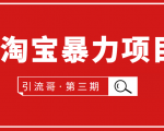 引流哥·第3期淘宝暴力项目:每天10-30分钟的空闲时间,有淘宝号,会玩淘宝|淘骐网赚资源库